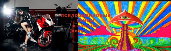 ALPHA PVP Магадан