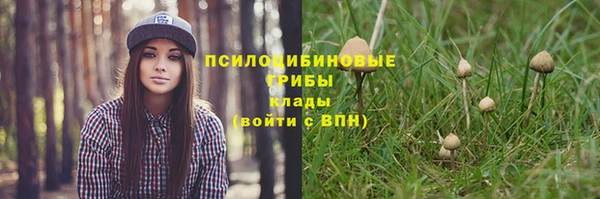 метадон Медвежьегорск